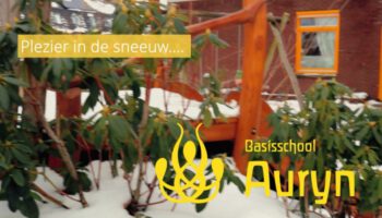 Sneeuwpret