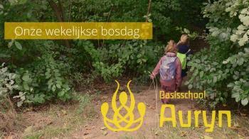 Wekelijkse bosdag